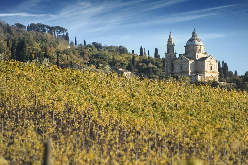 Agriturismo San Gallo Montepulciano Stazione Dış mekan fotoğraf