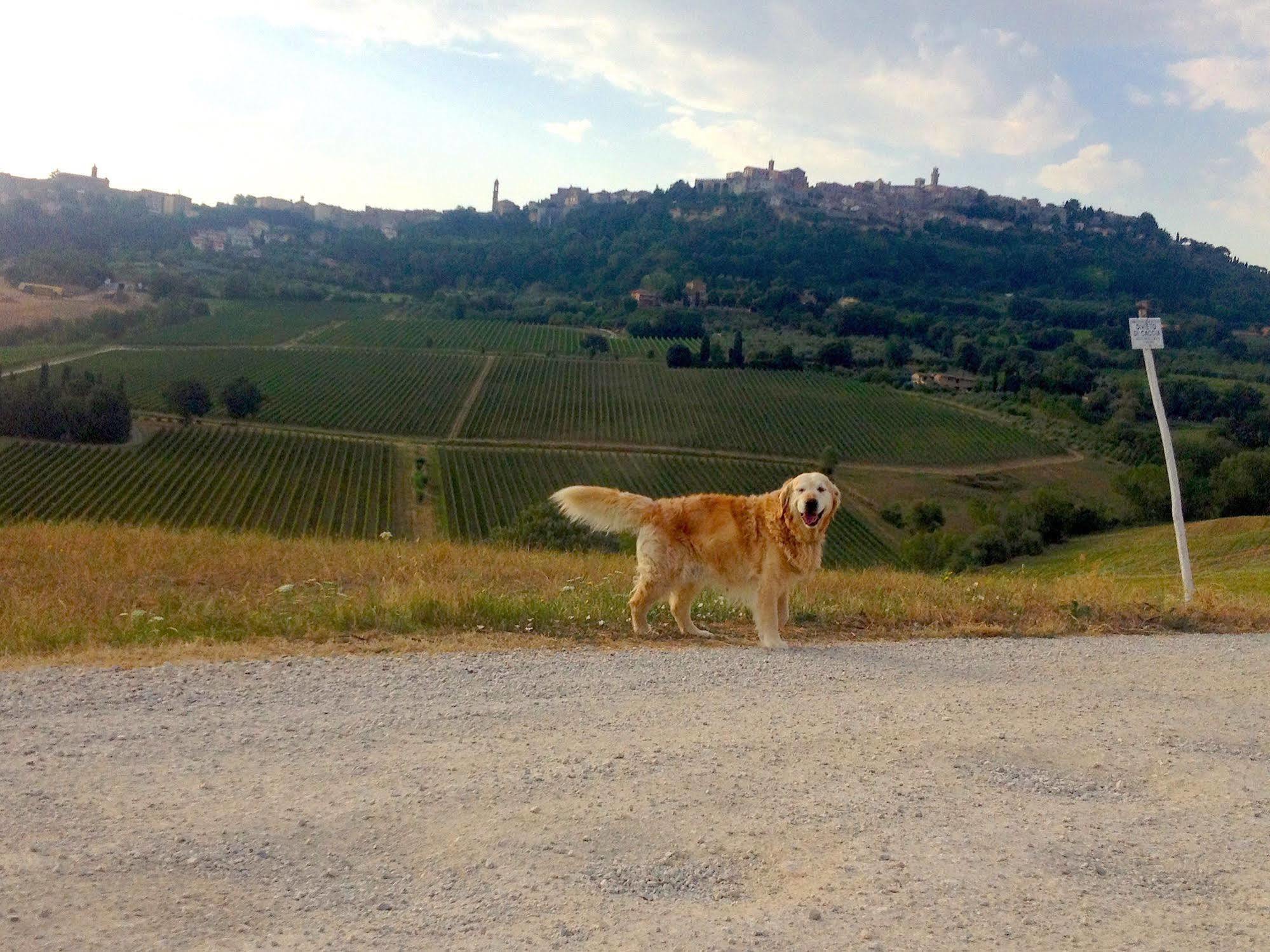 Agriturismo San Gallo Montepulciano Stazione Dış mekan fotoğraf