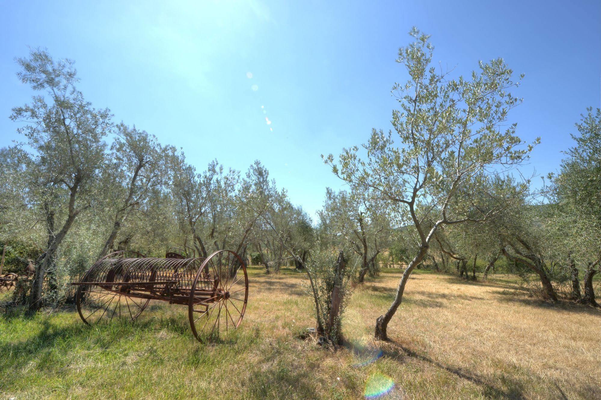 Agriturismo San Gallo Montepulciano Stazione Dış mekan fotoğraf