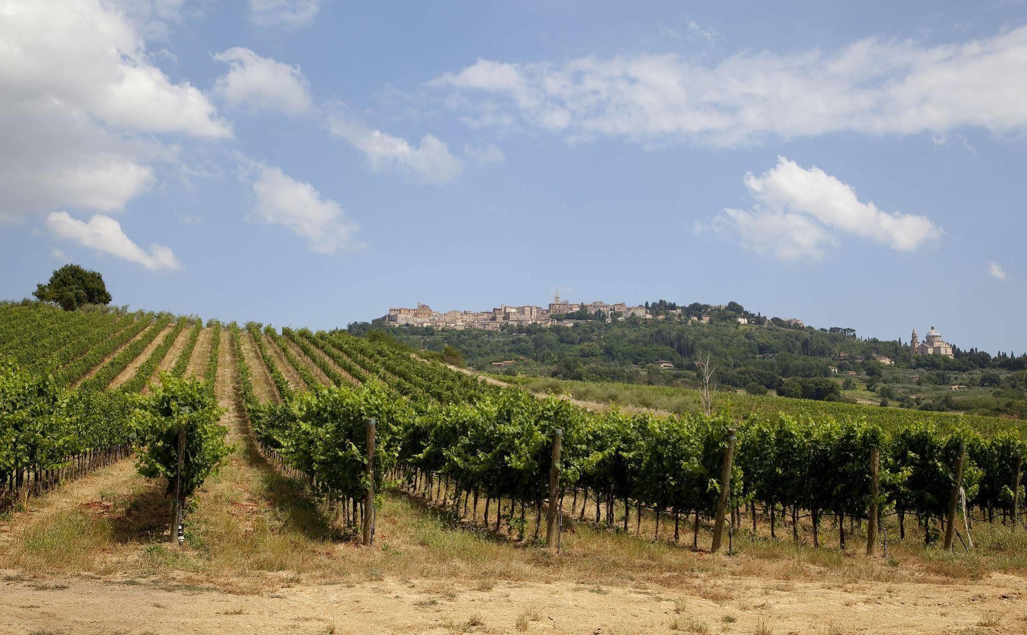Agriturismo San Gallo Montepulciano Stazione Dış mekan fotoğraf